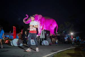 BIB: 
                            <button type="button" onclick="openModal(26551795)" class="btn btn-primary btn-sm float-right btn-popup" data-toggle="modal" data-target=".modal-high-quality">
                        <i class="fas fa-shopping-cart"></i> Add to Cart
                    </button>
                                            <button type="button" onclick="isThisMe(26551795, true)" class="btn btn-success btn-sm float-right btn-popup btn-isme hidden" data-toggle="tooltip" data-placement="bottom" title="นี่คือรูปของคุณใช่ไหม คลิกที่นี่เพื่อเอาเข้าอัลบั้ม">
                        <i class="fas fa-plus"></i> Add to album
                    </button>
                    <button type="button" onclick="isThisMe(26551795, false)" class="btn btn-warning btn-sm float-right btn-popup btn-isnotme hidden">
                        <i class="fas fa-ban"></i> Remove from album
                    </button>